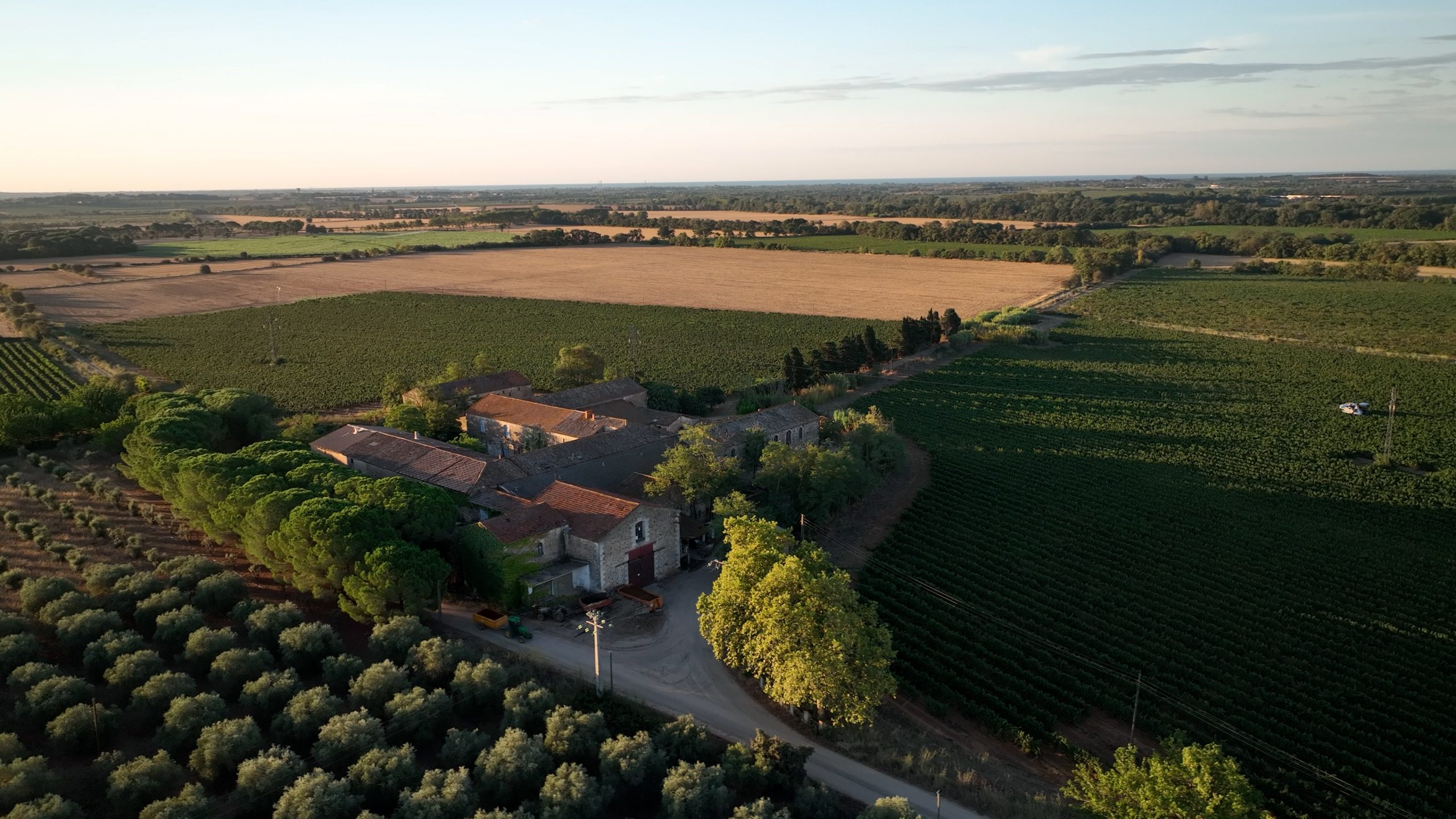 DOMAINE DE MONTMARIN DOMAINE VITICOLE OCCITANIE MONTBLANC1