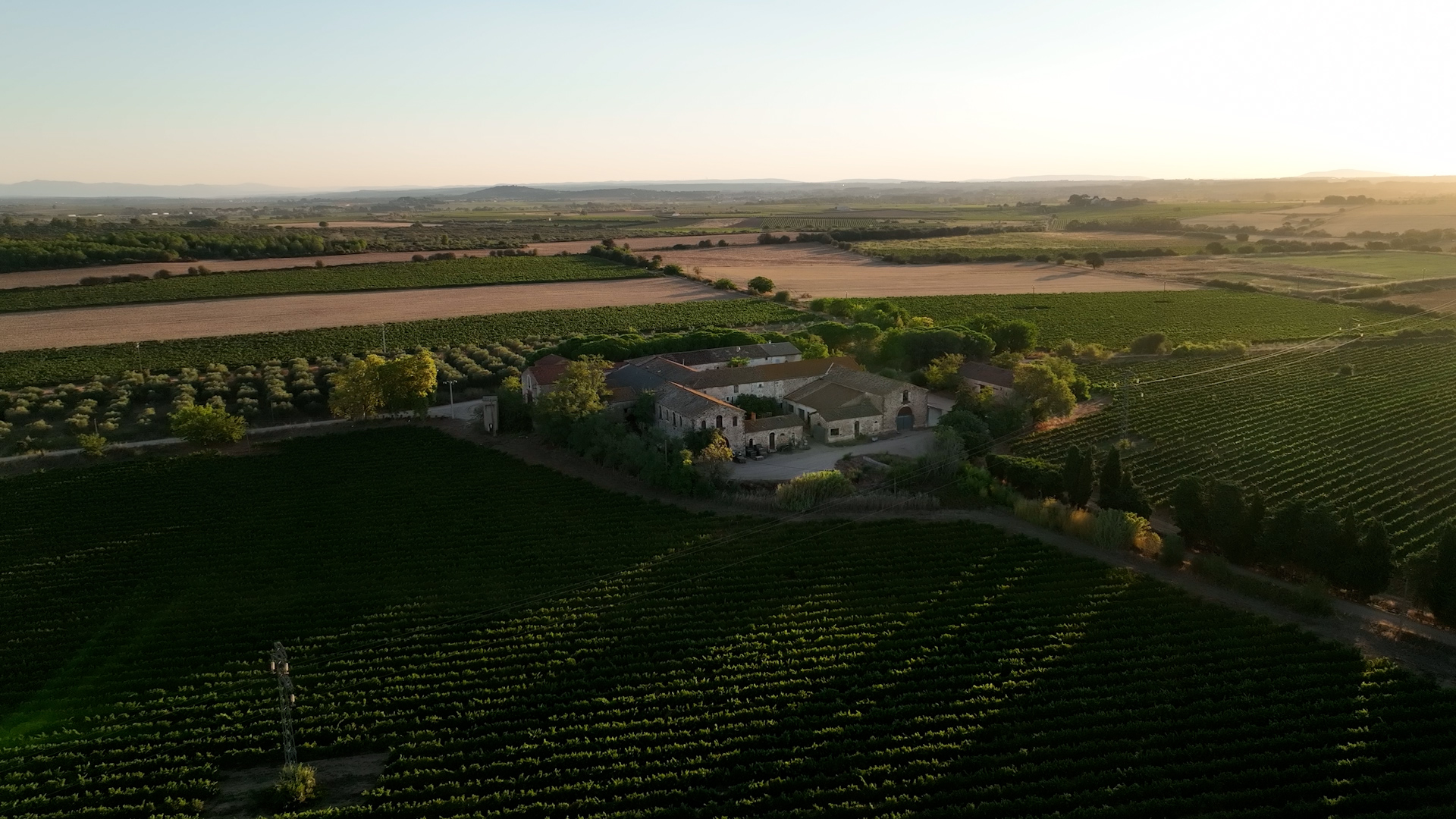 DOMAINE DE MONTMARIN DOMAINE VITICOLE OCCITANIE MONTBLANC10