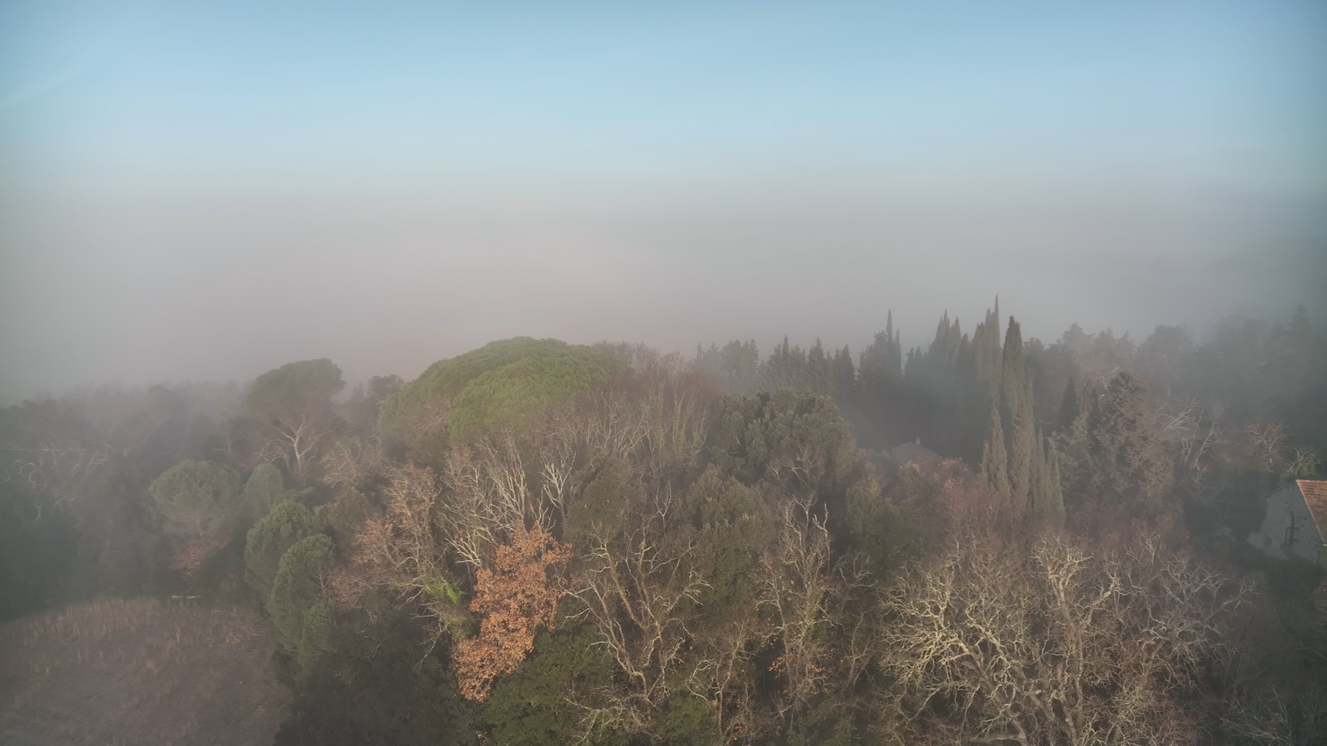 DOMAINE DE MONTMARIN DOMAINE VITICOLE OCCITANIE MONTBLANC11