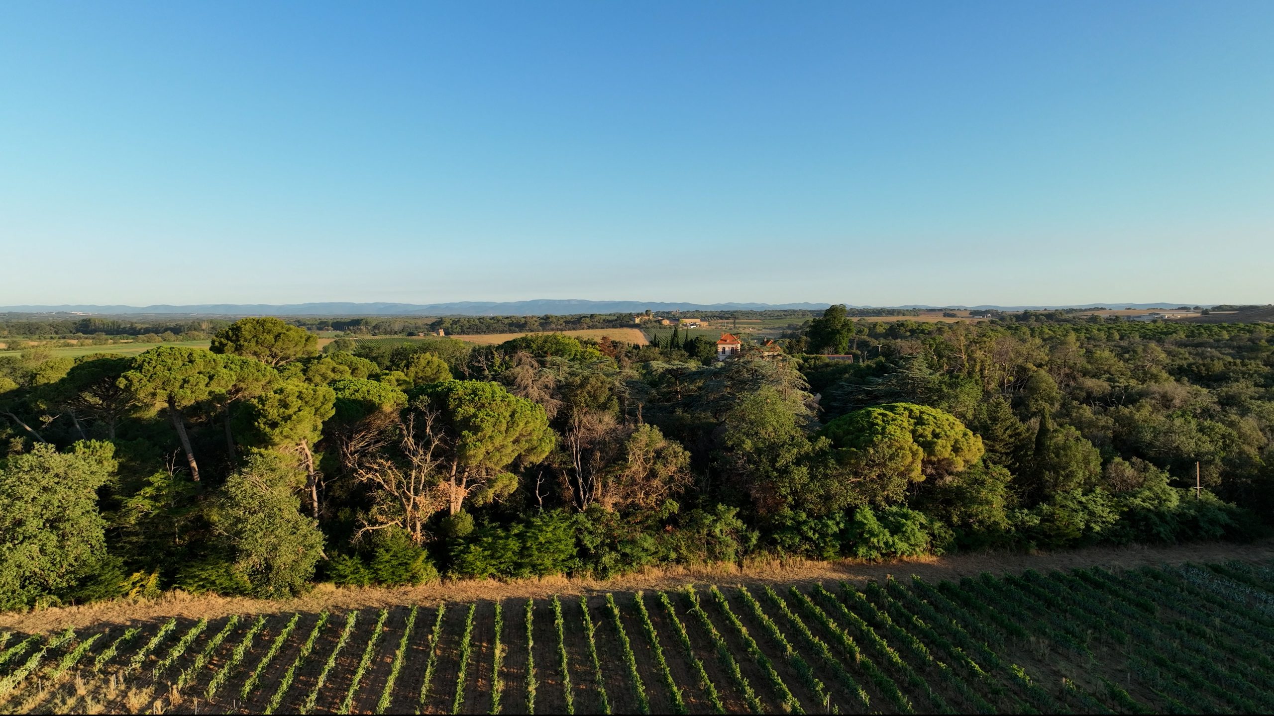 DOMAINE DE MONTMARIN DOMAINE VITICOLE OCCITANIE MONTBLANC2