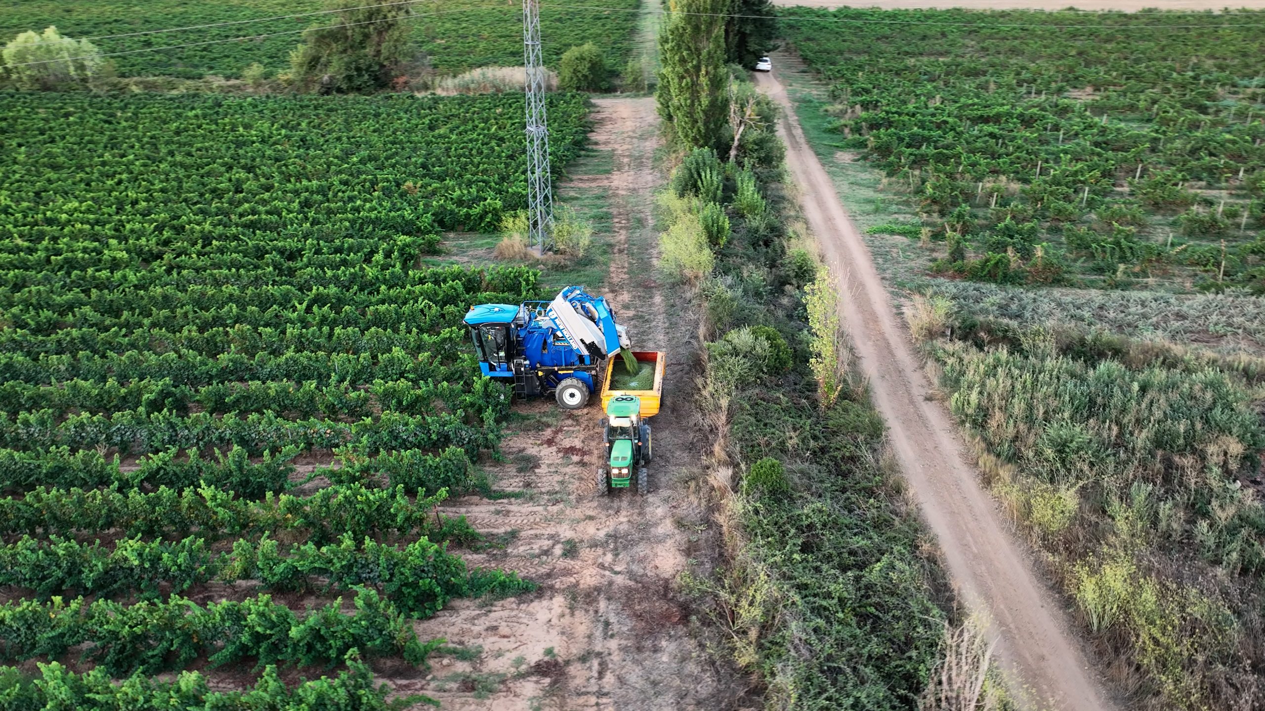 DOMAINE DE MONTMARIN DOMAINE VITICOLE OCCITANIE MONTBLANC4