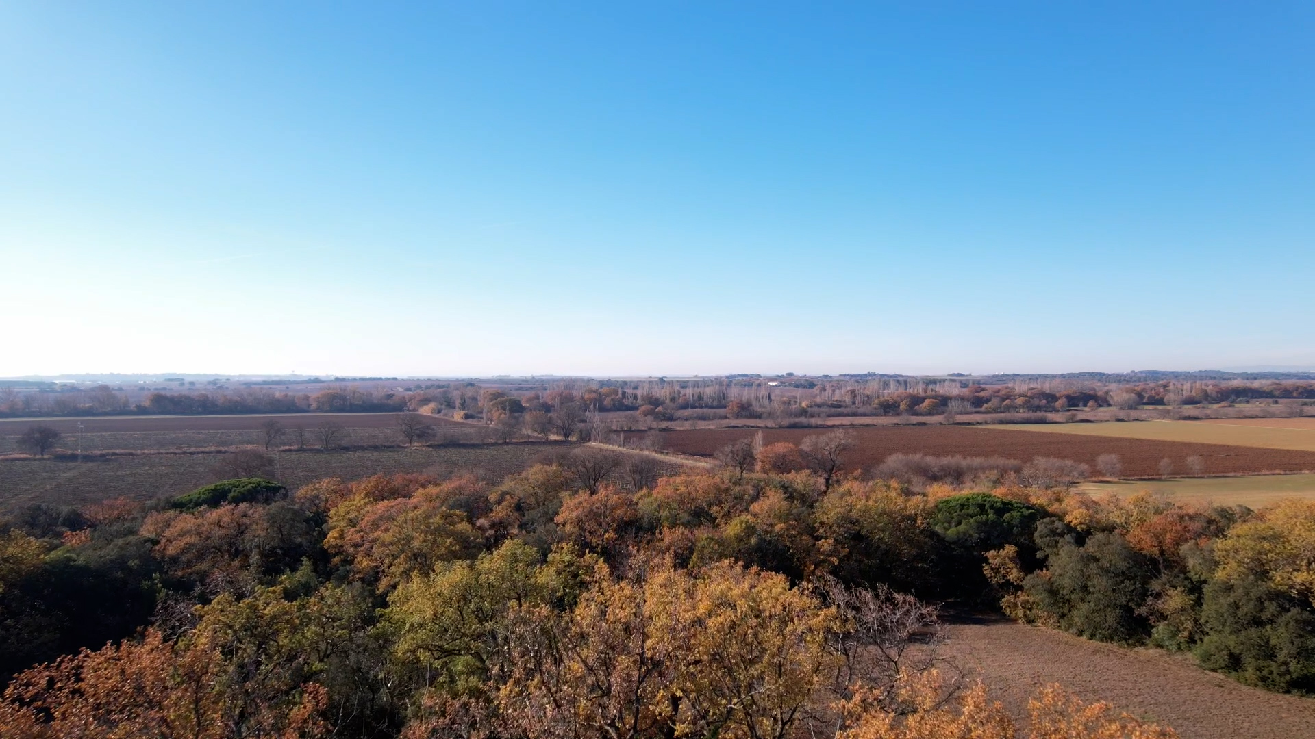 DOMAINE DE MONTMARIN DOMAINE VITICOLE OCCITANIE MONTBLANC7